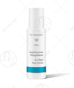 Dr. Hauschka Ice Plant Face Cream 40ml