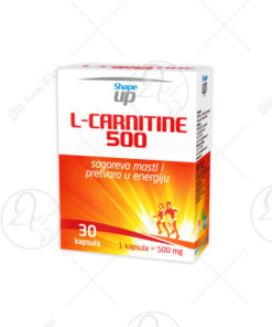 L–CARNITINE 500