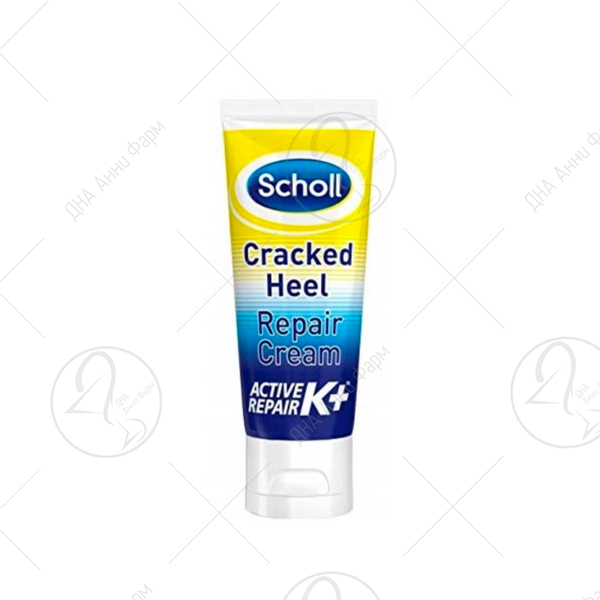 Scholl 60