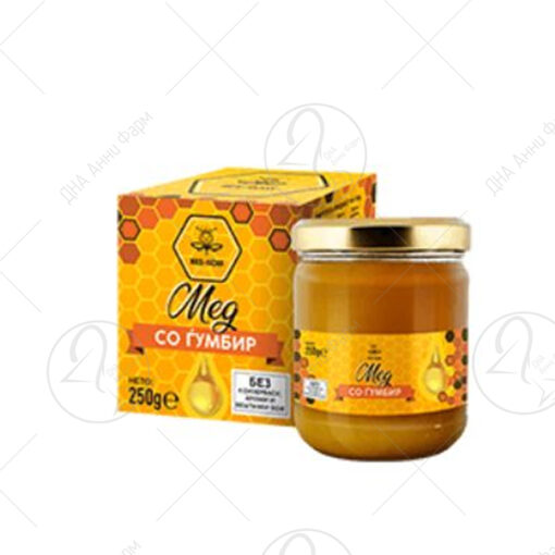 RESKOM Мед со ѓумбир 250g